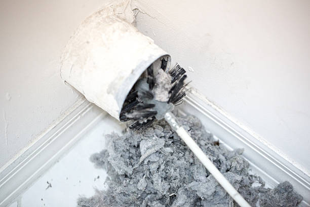 Best Residential Air Duct Cleaning in Magnolia, NC